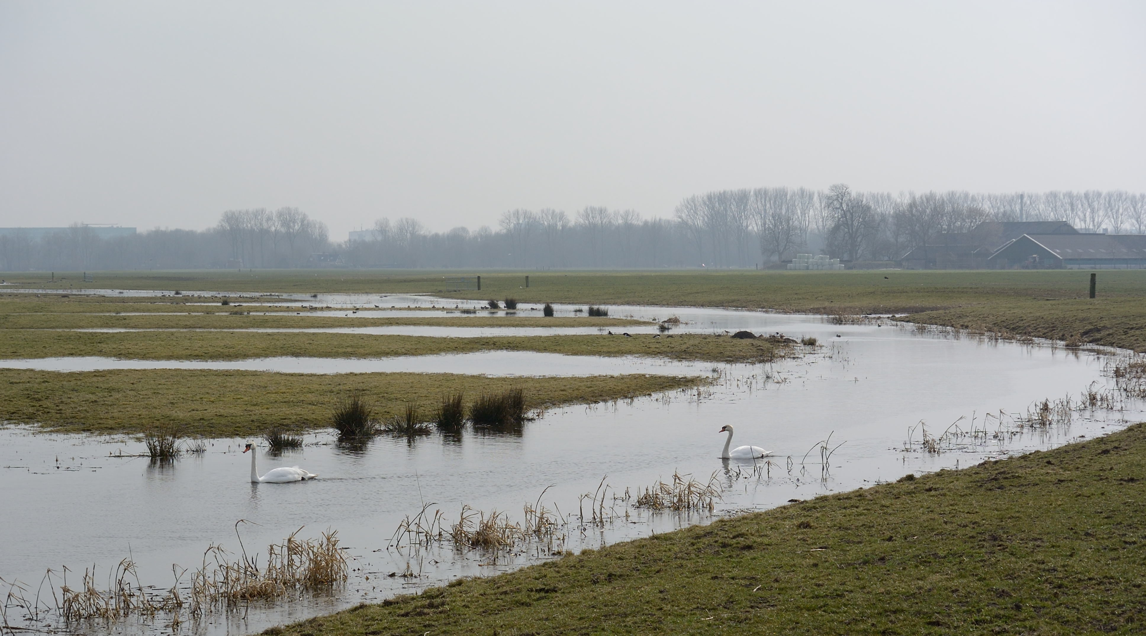 /kraai/foto/2015/2015-03-17 Harssens/DSC_1077_025.jpg